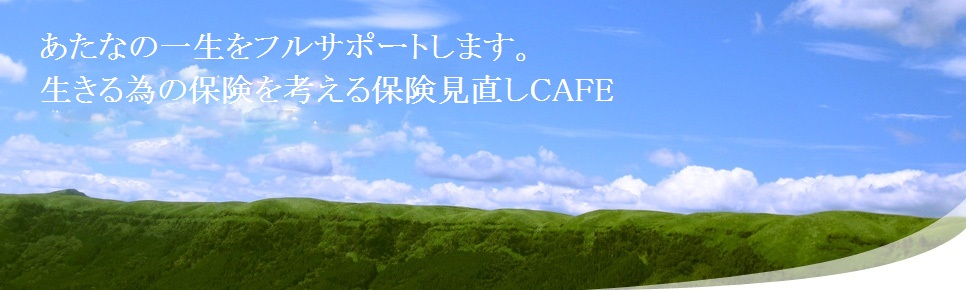 index.html
