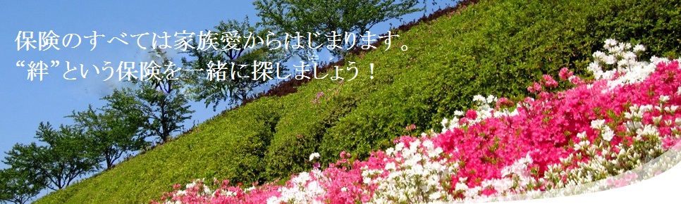 index.html
